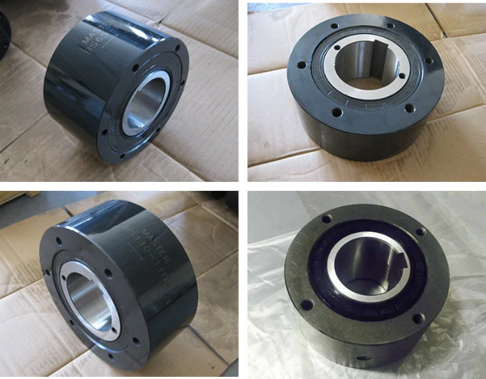 High Torque Cam Clutch BS 200 Back Stop Clutch Bearing for Belt Conveyor