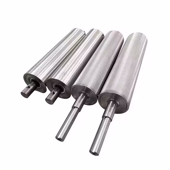 Trx SS304 Powered Conveyor Logistic Sorting Conveyor Roller